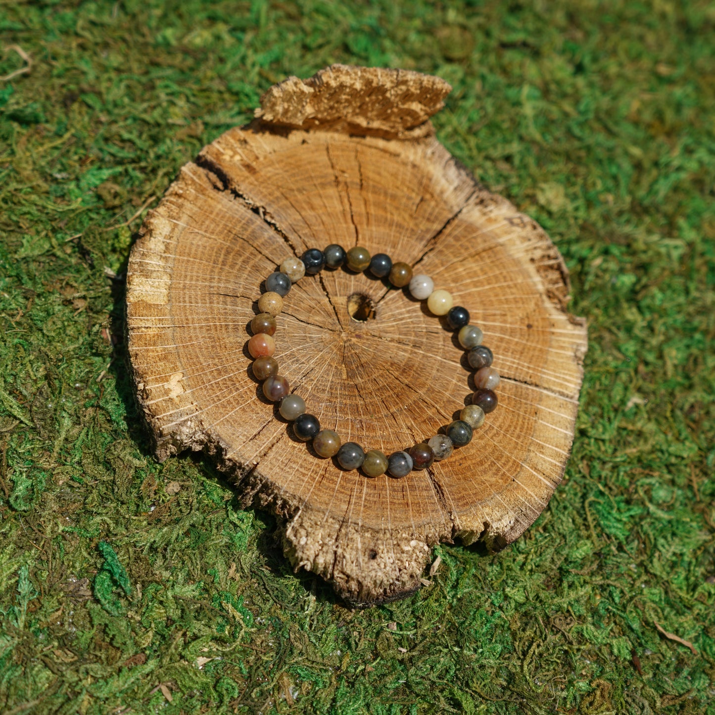 Petrified Wood Bracelet