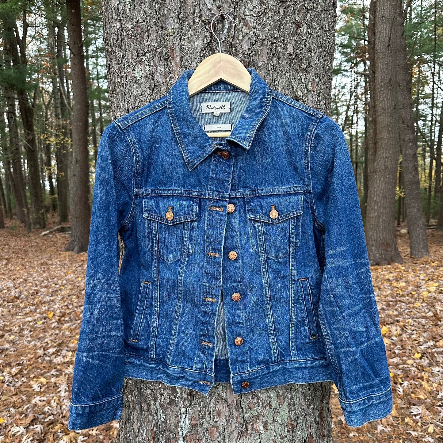 Celestial Butterfly Denim Jacket