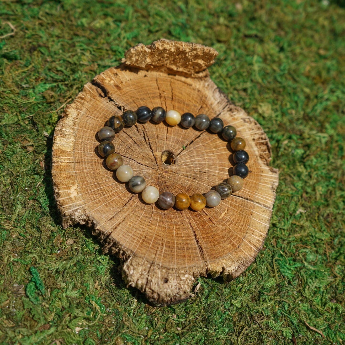 Petrified Wood Bracelet