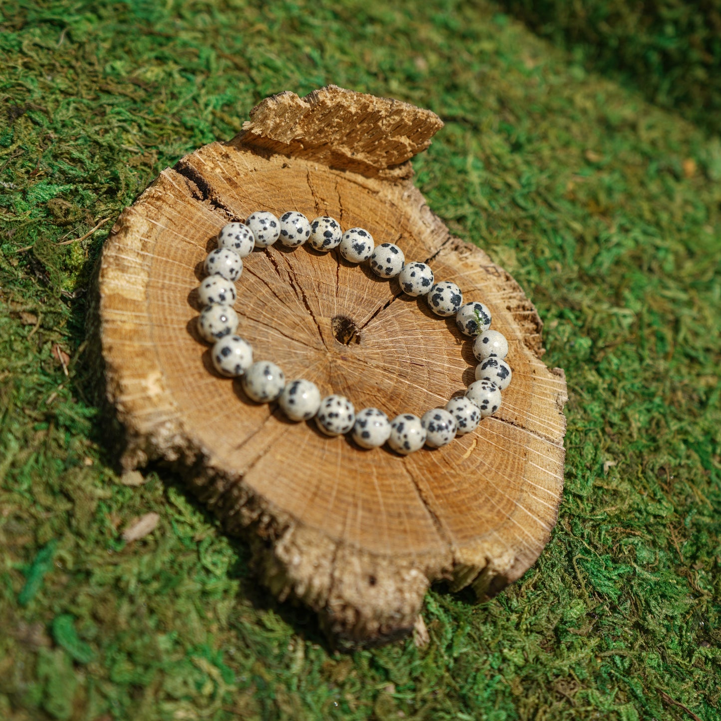 Dalmatian Jasper Bracelet