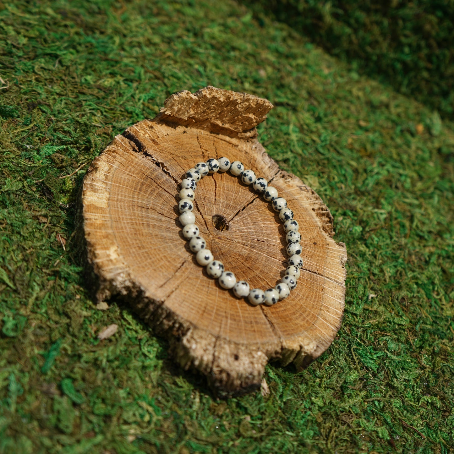 Dalmatian Jasper Bracelet