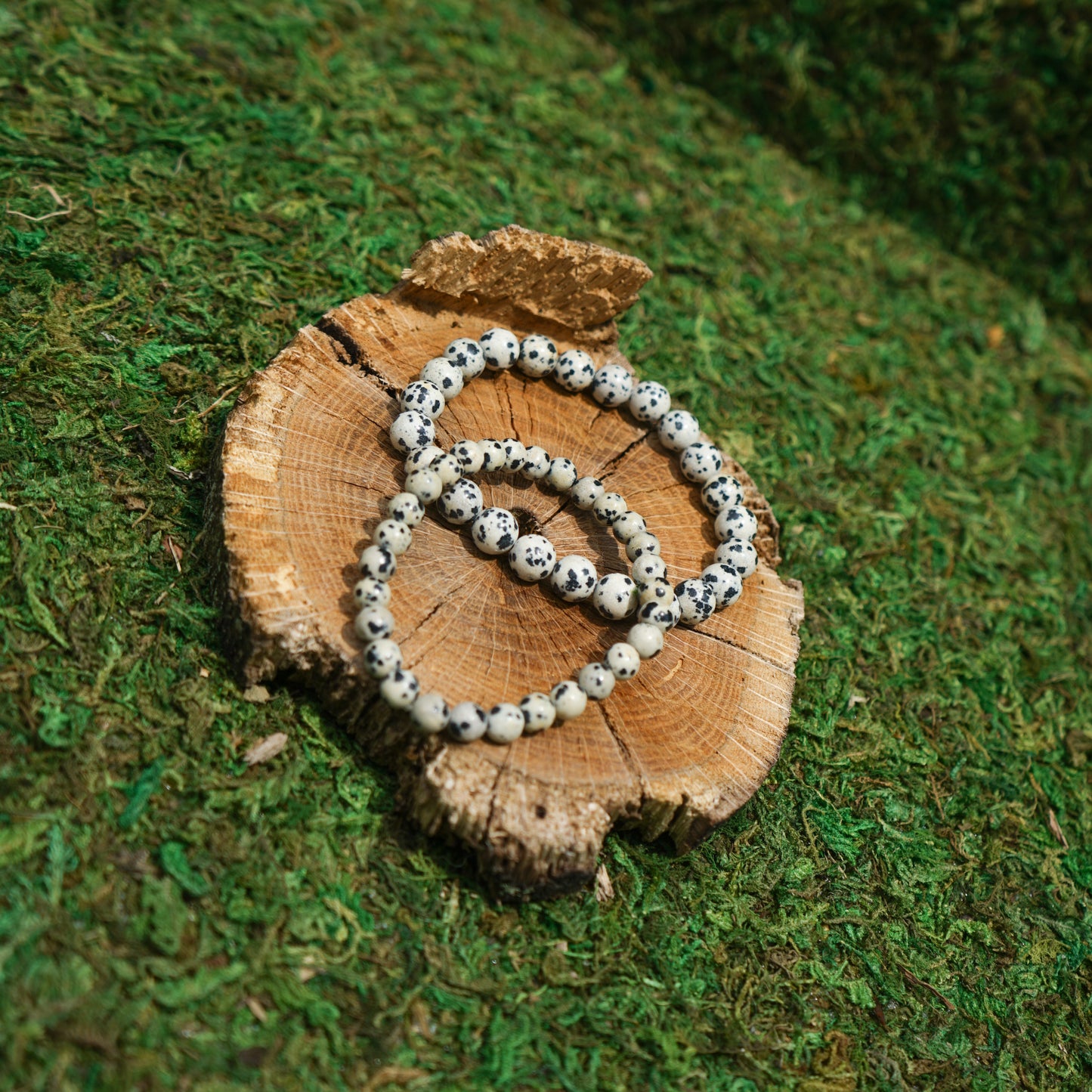 Dalmatian Jasper Bracelet