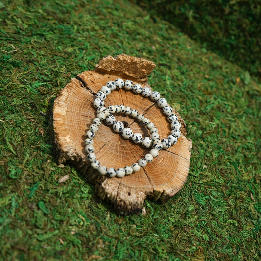 Dalmatian Jasper Bracelet